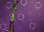 Interior view 10 of the wallpaper collection Felicia, A.S. Création